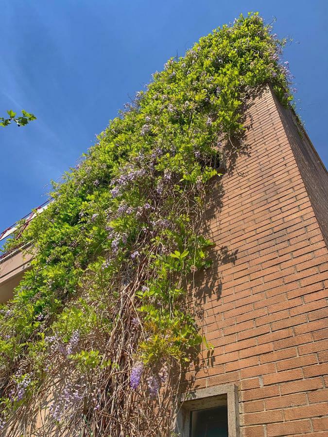 Corso Emanuele Apartments サン·ヴィンチェンツォ エクステリア 写真